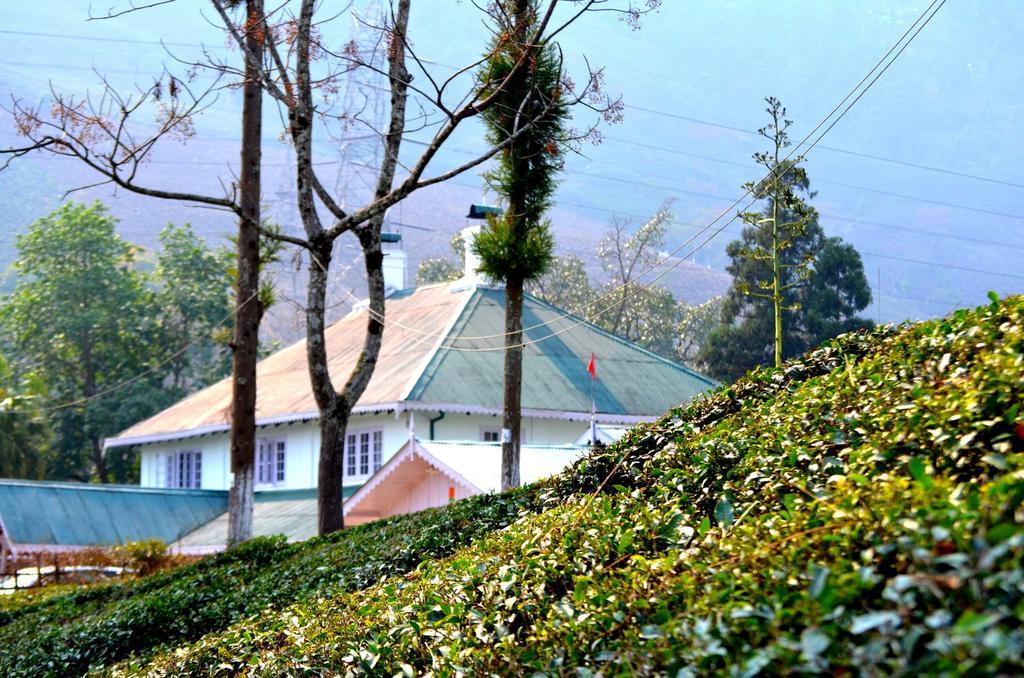 图姆松奇巴里茶庄度假屋 大吉岭 外观 照片