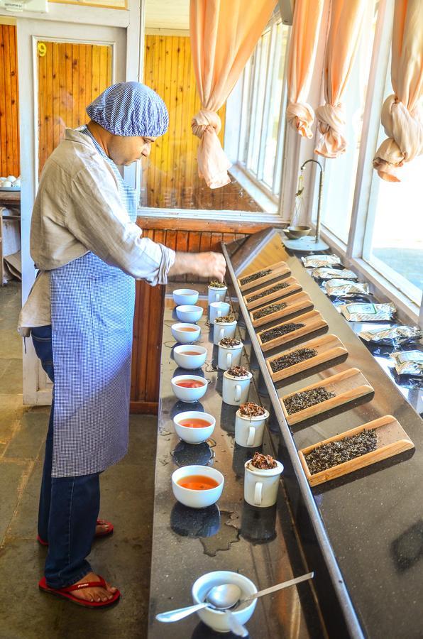 图姆松奇巴里茶庄度假屋 大吉岭 外观 照片